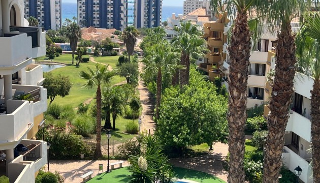 Lägenhet - Begagnad - Torrevieja - Punta Prima