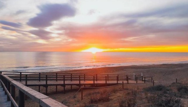 Leilighet - Videresalg - Torrevieja - Torrelamata - La Mata