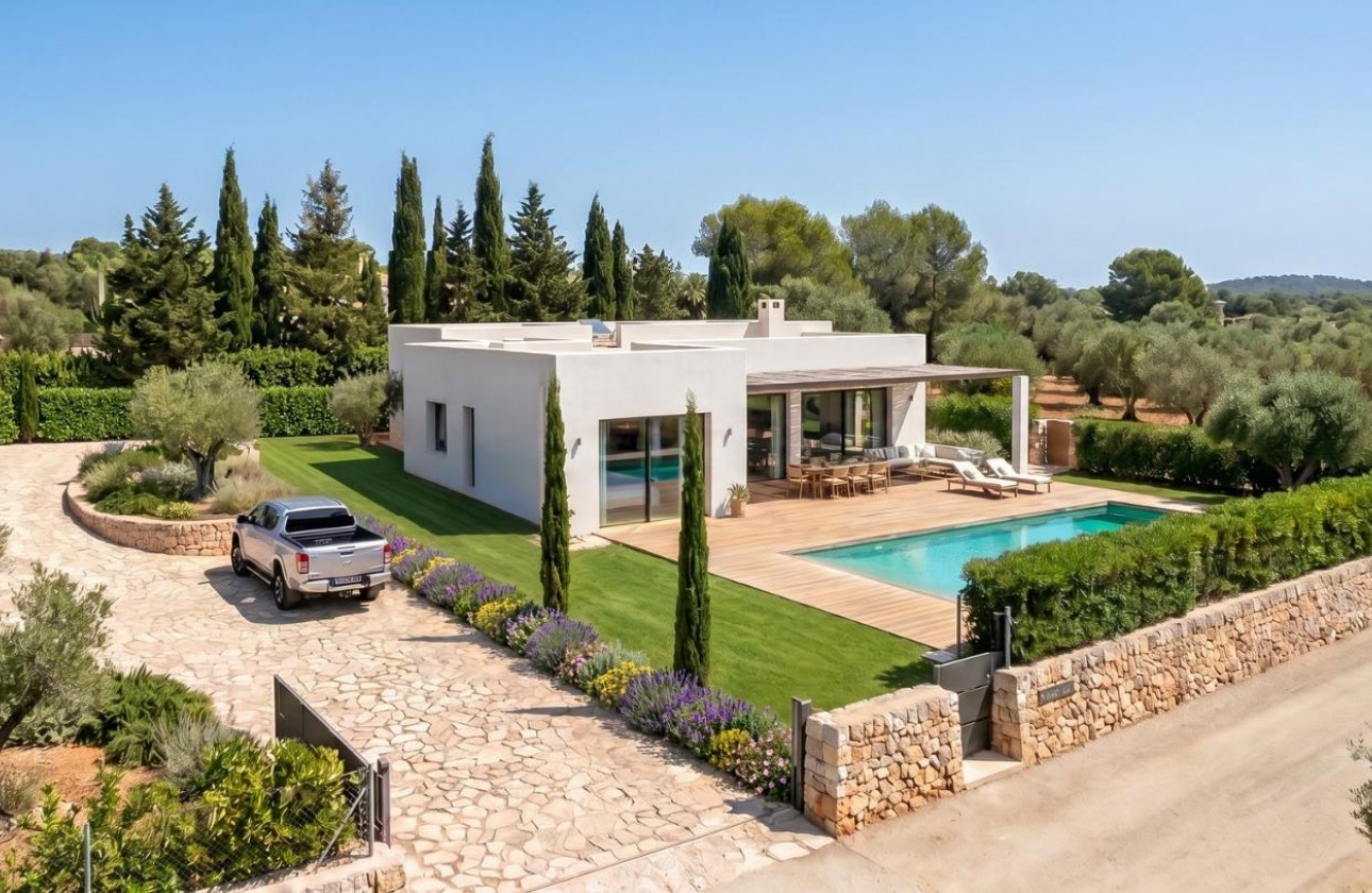 Neue Gebäude - Detached Villa - Pinoso - Casas Pastor
