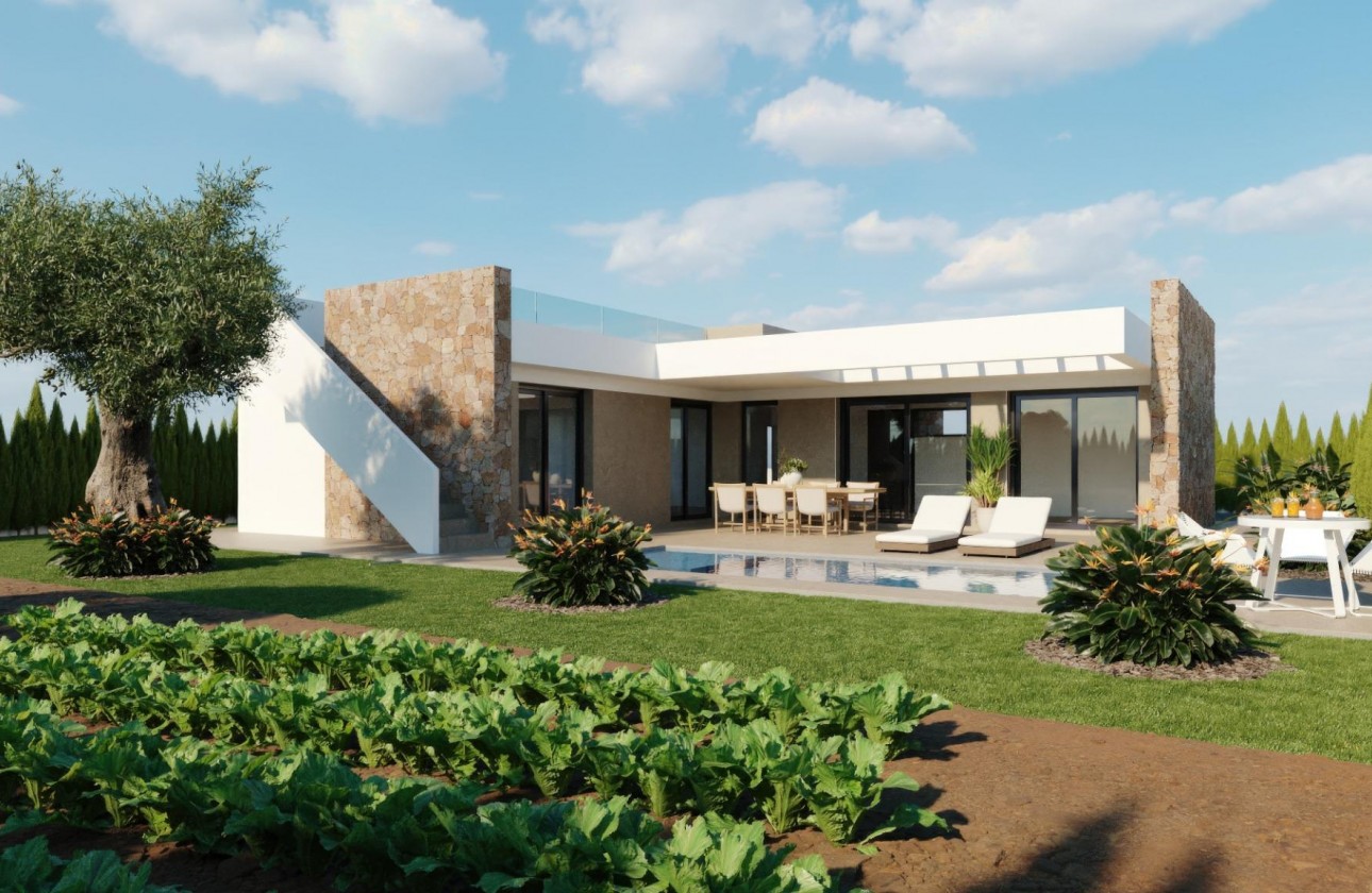 New Build - Detached Villa - Fuente Álamo - Hacienda del Alamo