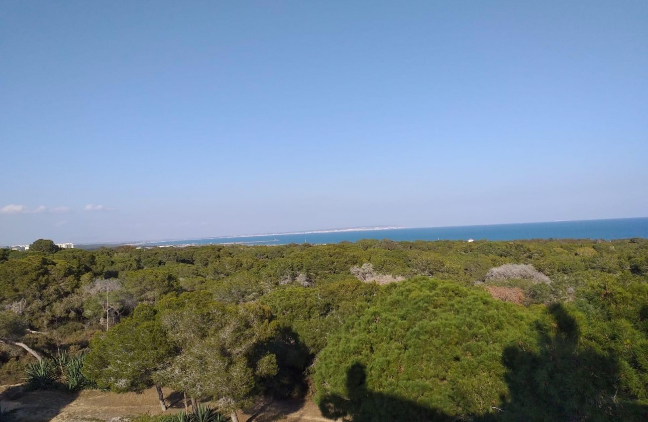 Новое здание - Квартира - Guardamar del Segura