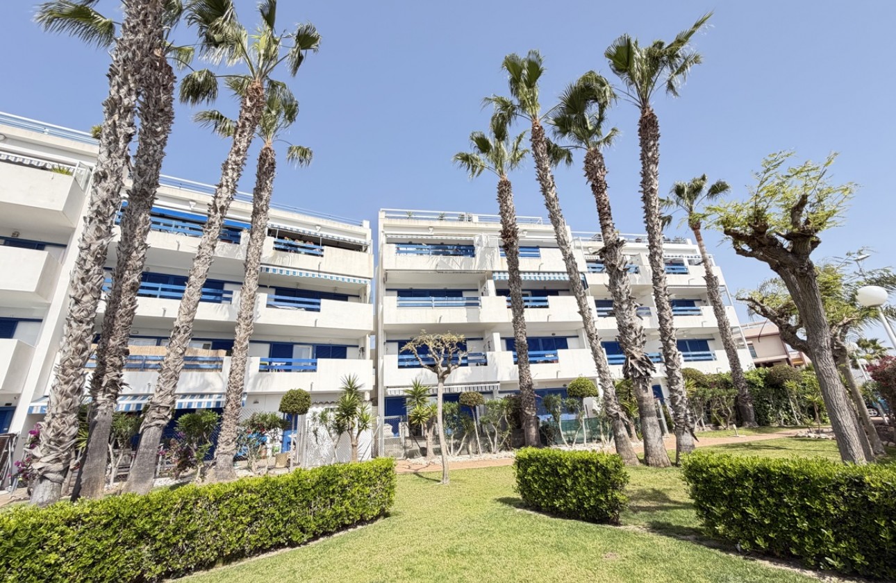 Odsprzedaż - Apartment - Orihuela Costa - Playa Flamenca