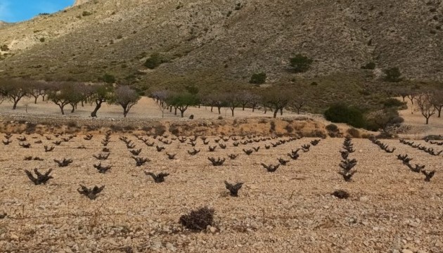 Parcela / Terreno - Reventa - Murcia - Murcia