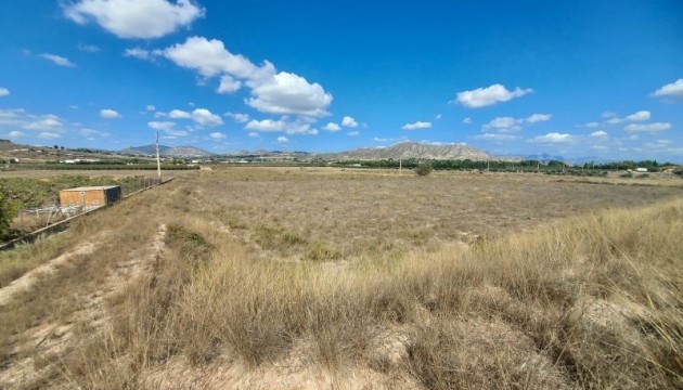 Perceel / Grond - Herverkoop - Hondón de las Nieves - Hondón de las Nieves