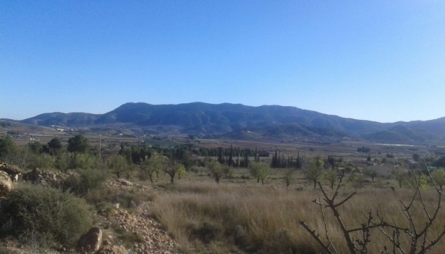 Perceel / Grond - Herverkoop - Hondón de las Nieves - Hondón de las Nieves