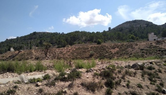 Perceel / Grond - Herverkoop - Hondón de las Nieves - Hondón de las Nieves