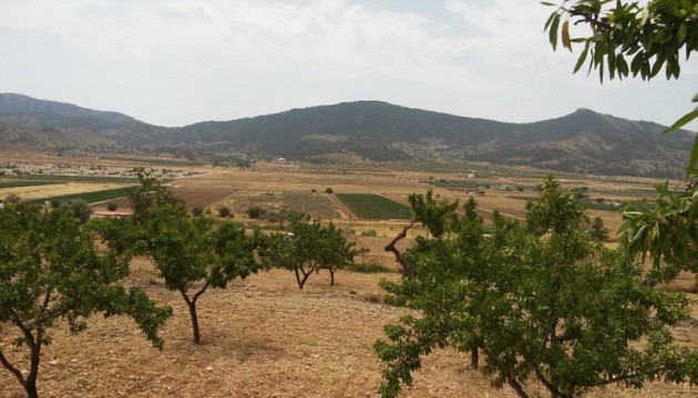 Perceel / Grond - Herverkoop - Hondón de las Nieves - Hondón de las Nieves