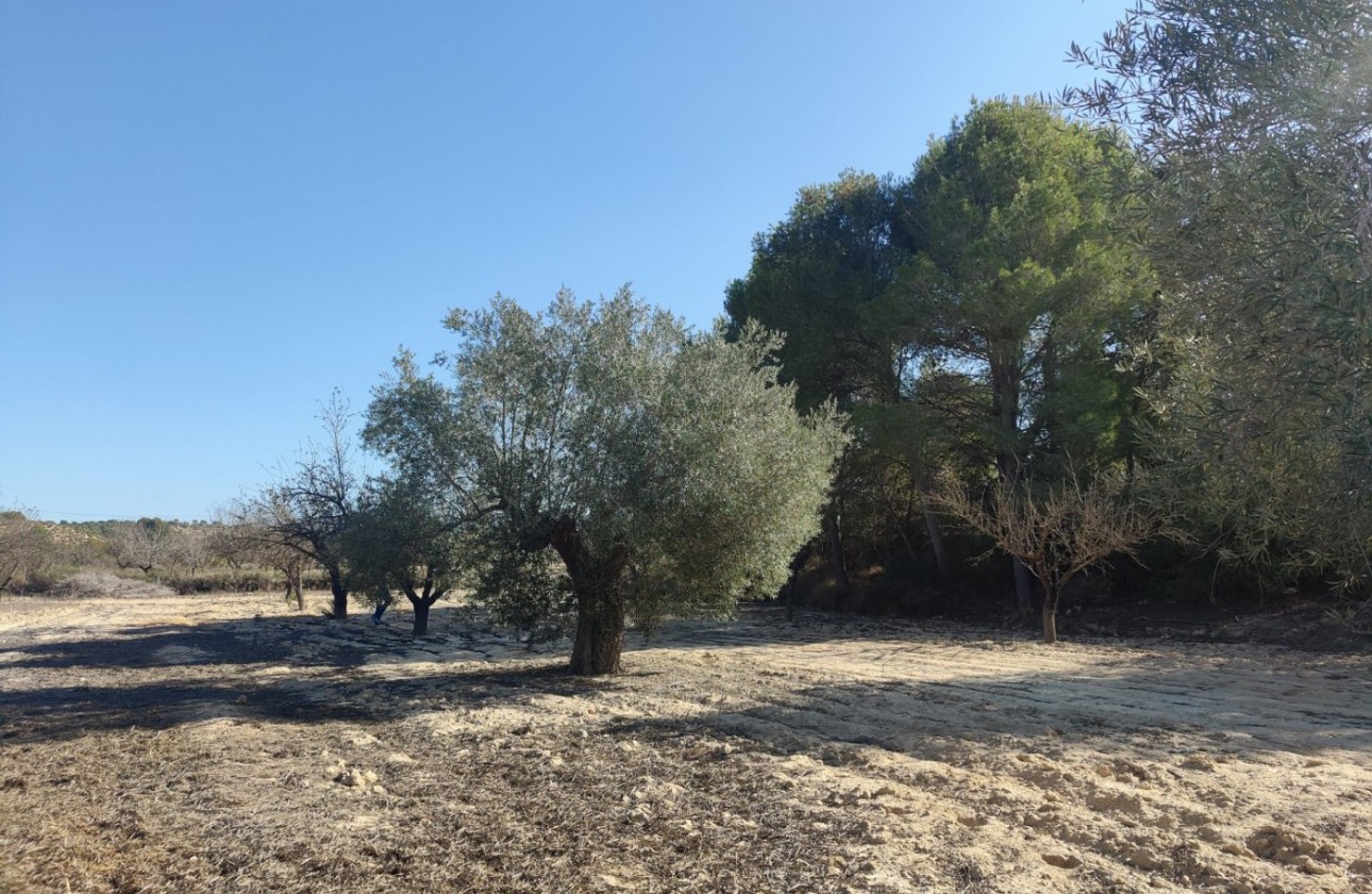 Перепродажа - деревенский дом - Torremendo