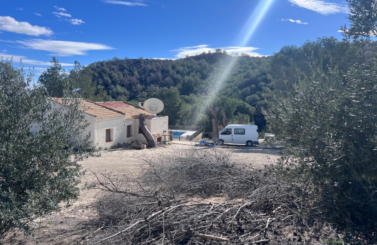 Перепродажа - деревенский дом - Torremendo