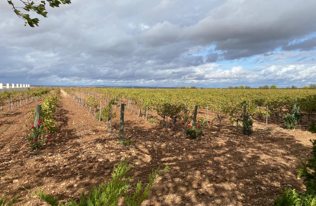 Перепродажа - Коммерческий - Albacete