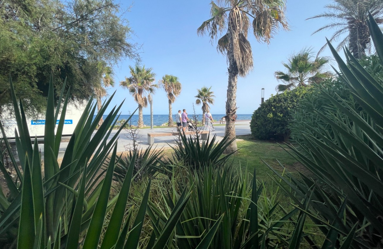 Перепродажа - Коммерческий - Torrevieja