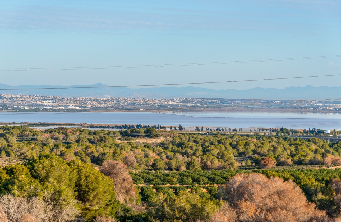 Перепродажа - отдельная вилла - Orihuela - Villamartín