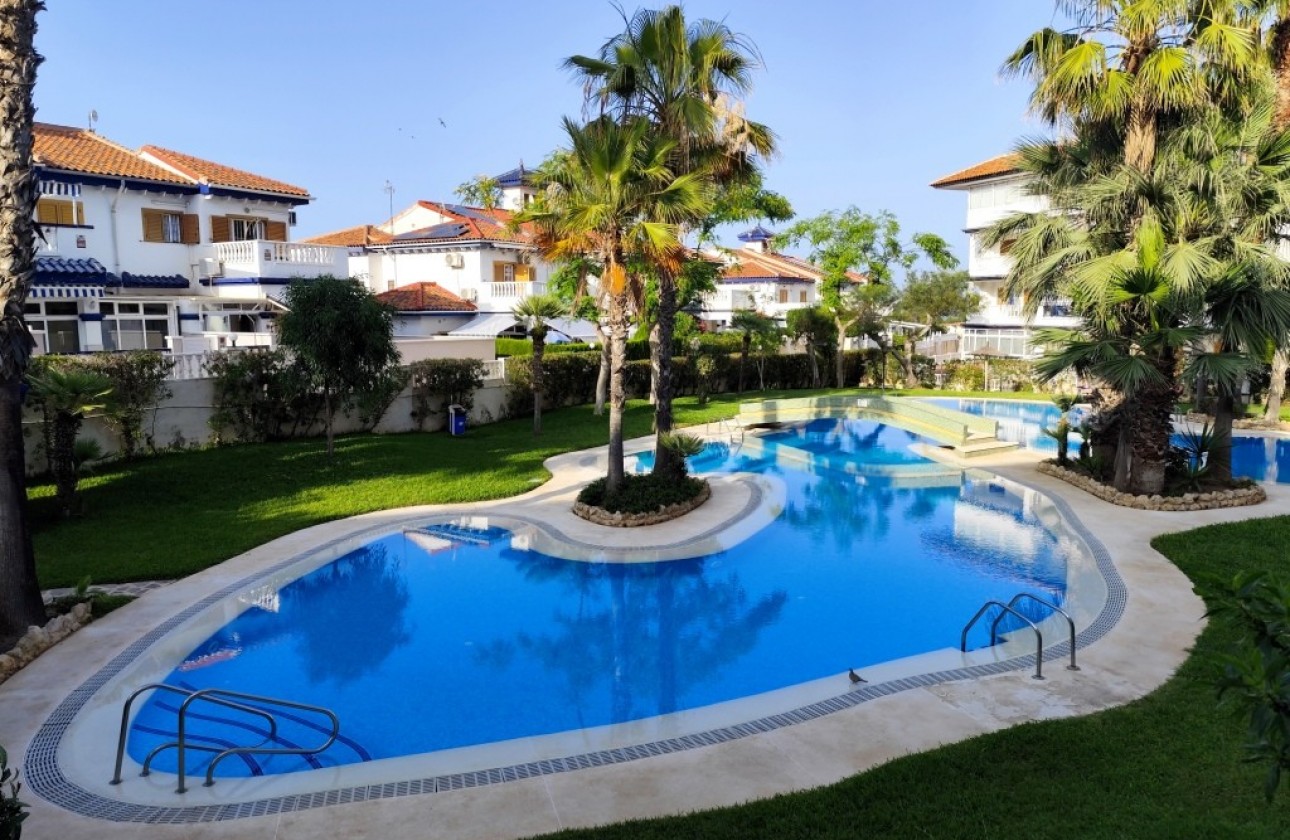 Перепродажа - Studio - Torrevieja