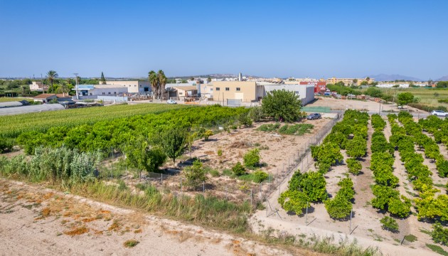 Plot / Land - Resale - Formentera del Segura - Formentera del Segura