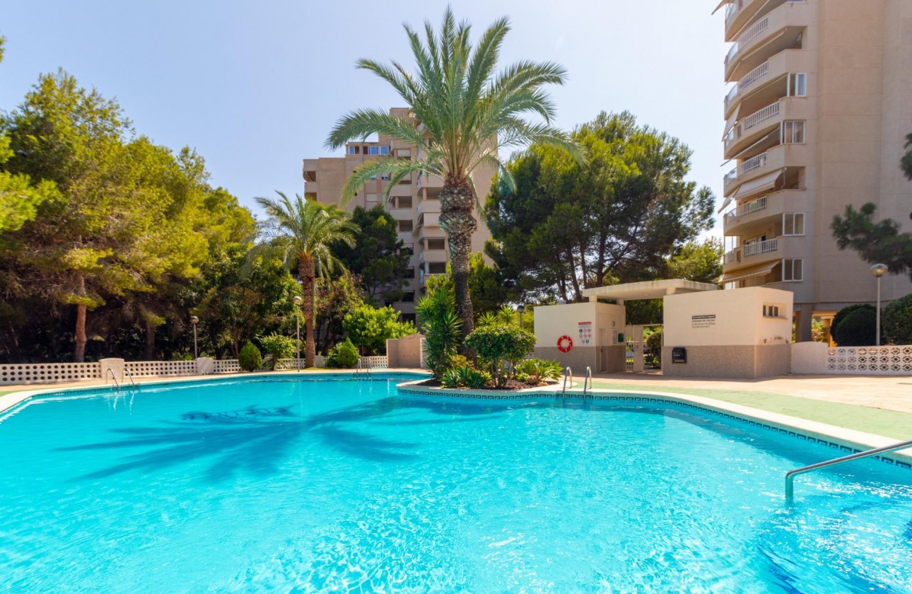 Resale - Apartment - Orihuela Costa - Campoamor