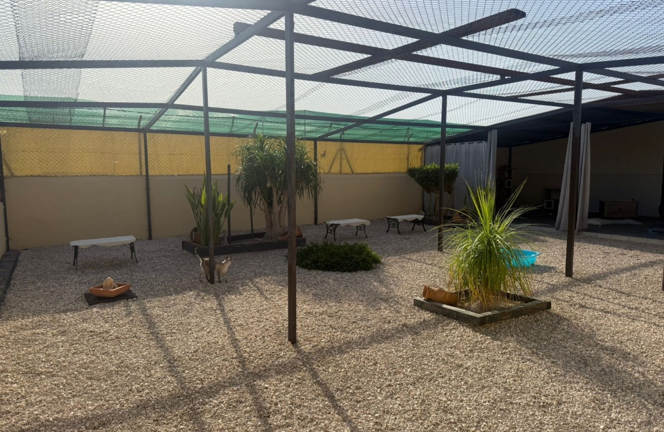 Resale - Country House - Elche - Las Bayas