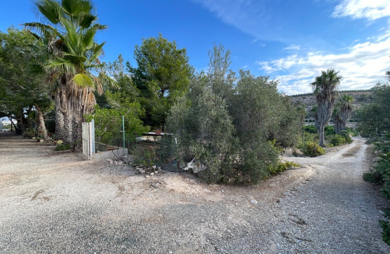 Resale - Country House - Jacarilla