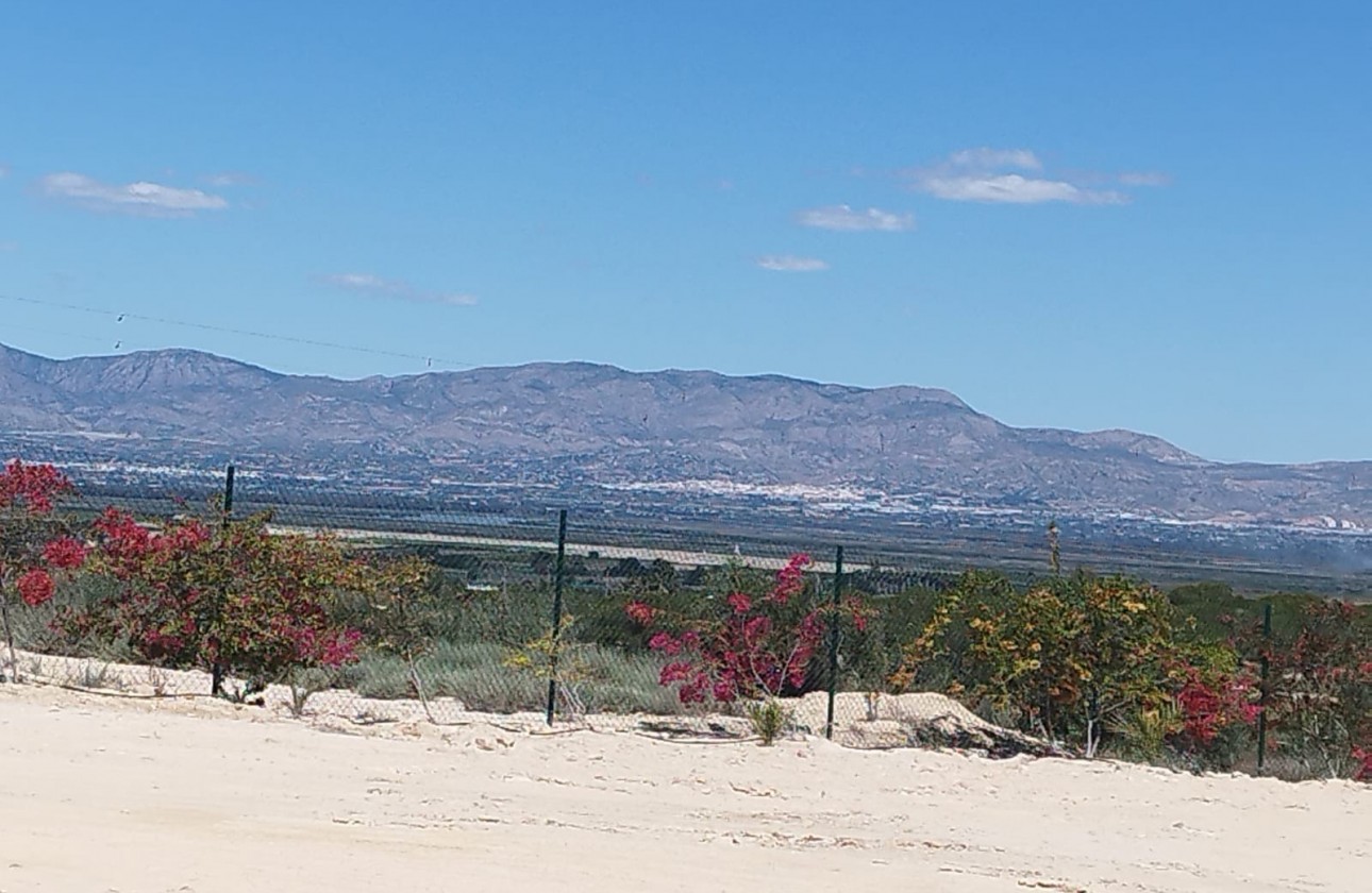Resale - Land and Plots - La Marina