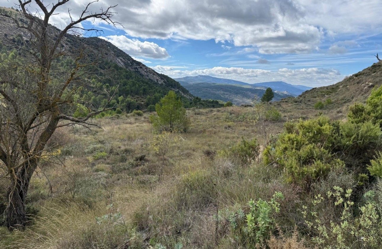 Resale - Plot / Land - Confrides - Barranc de Xarquera