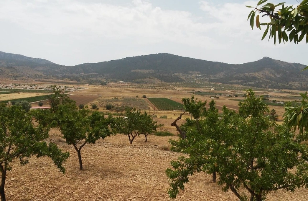 Resale - Plot / Land - Hondón de las Nieves