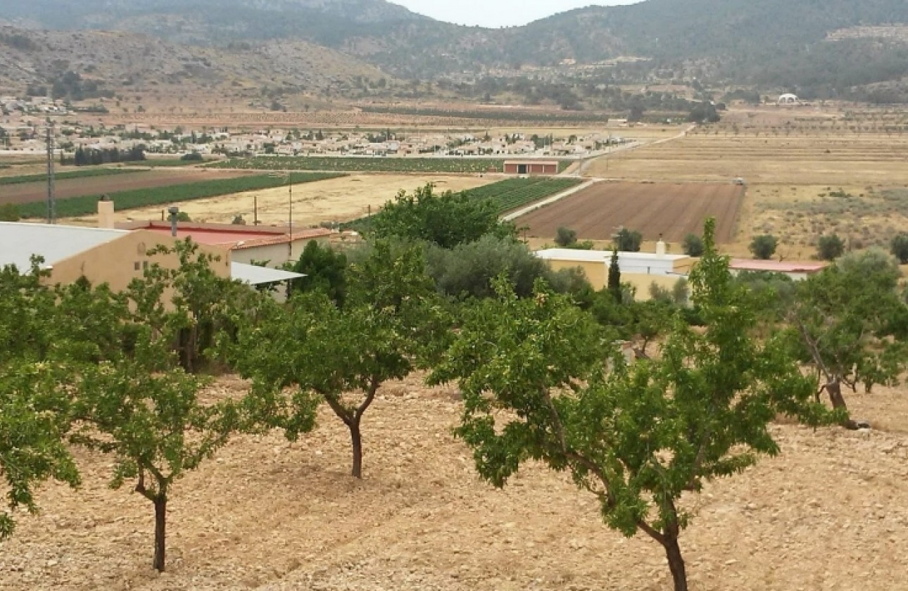 Resale - Plot / Land - Hondón de las Nieves