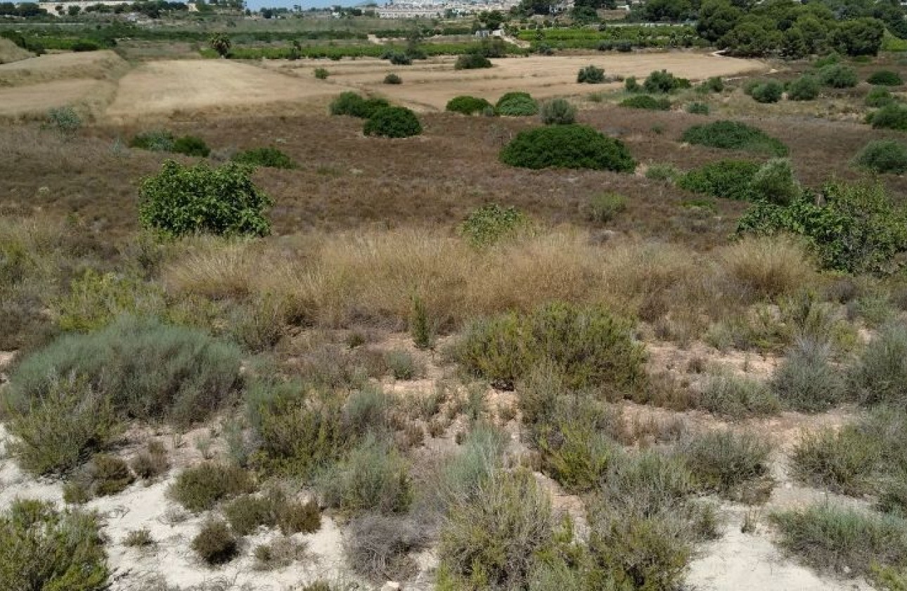 Resale - Plot / Land - Pinar de Campoverde