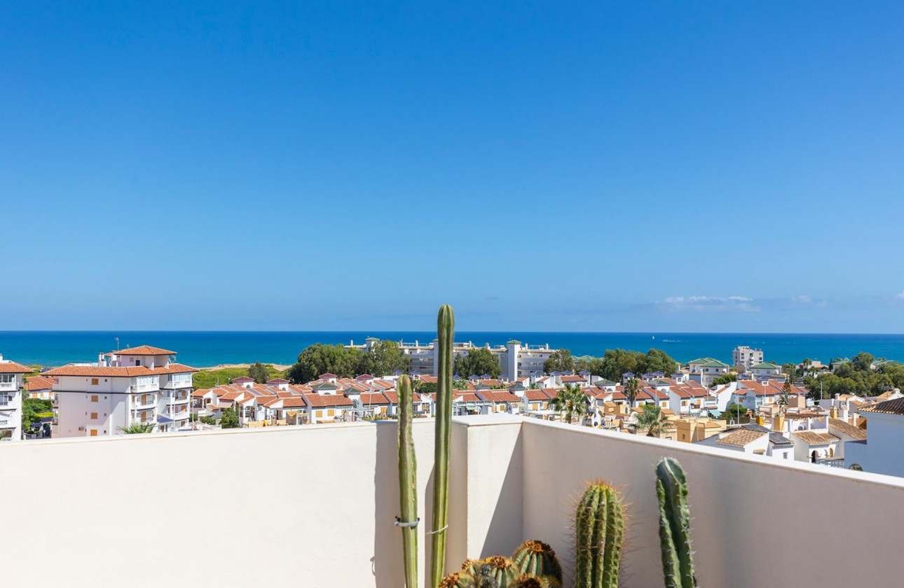 Reventa - Apartamento - La Mata - Torrelamata - La Mata