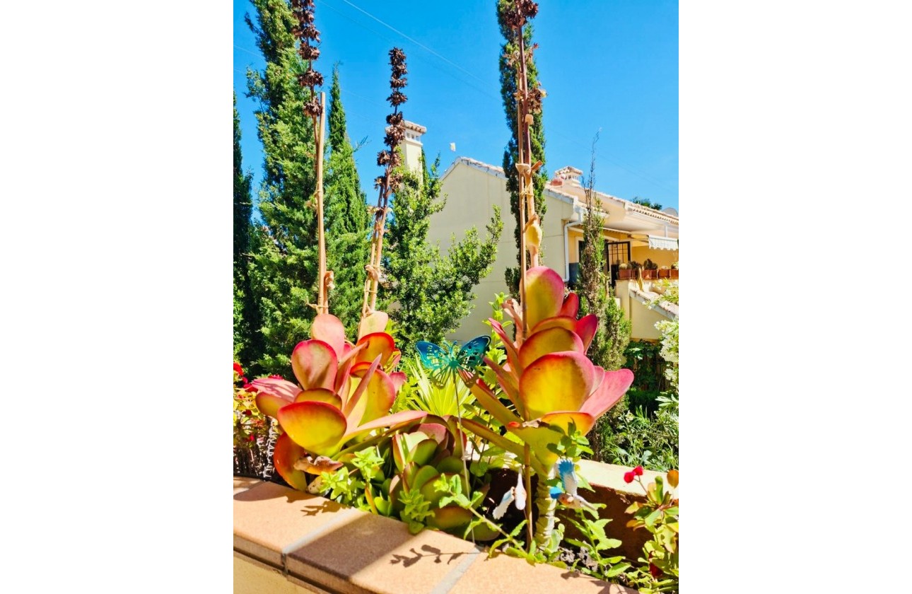 Reventa - Apartamento - Orihuela Costa - Lomas de Campoamor