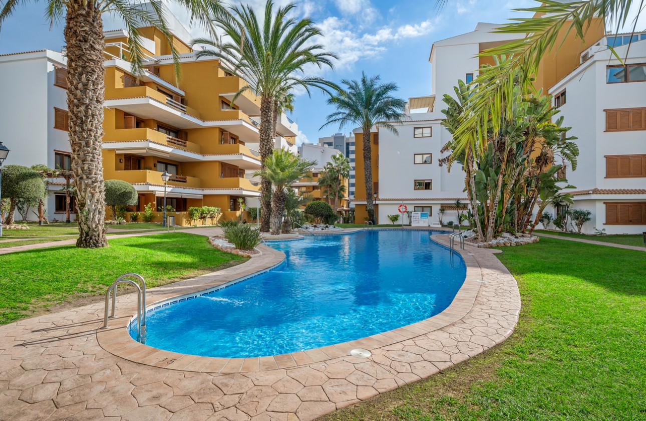 Reventa - Apartamento - Orihuela Costa - Punta Prima
