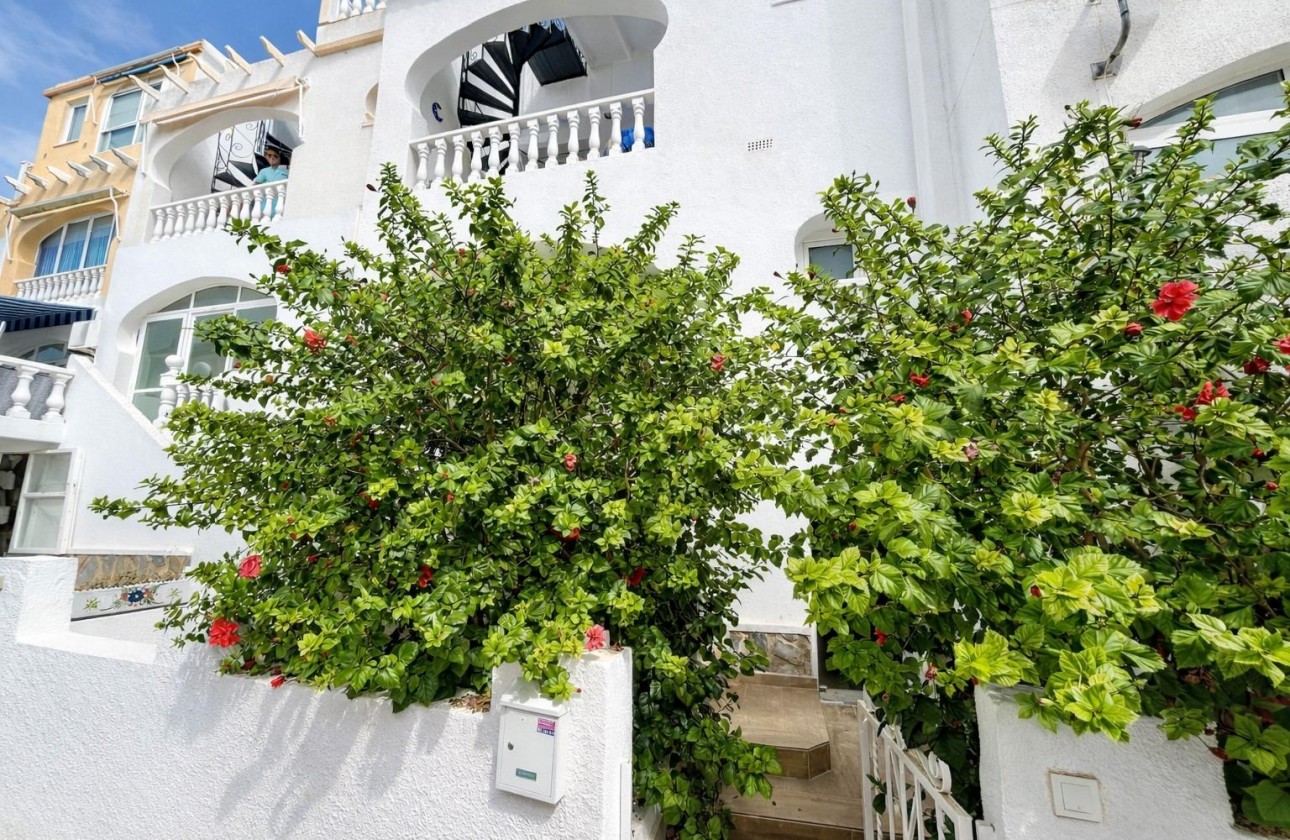 Reventa - Apartamento - San Miguel de Salinas - Villamartín