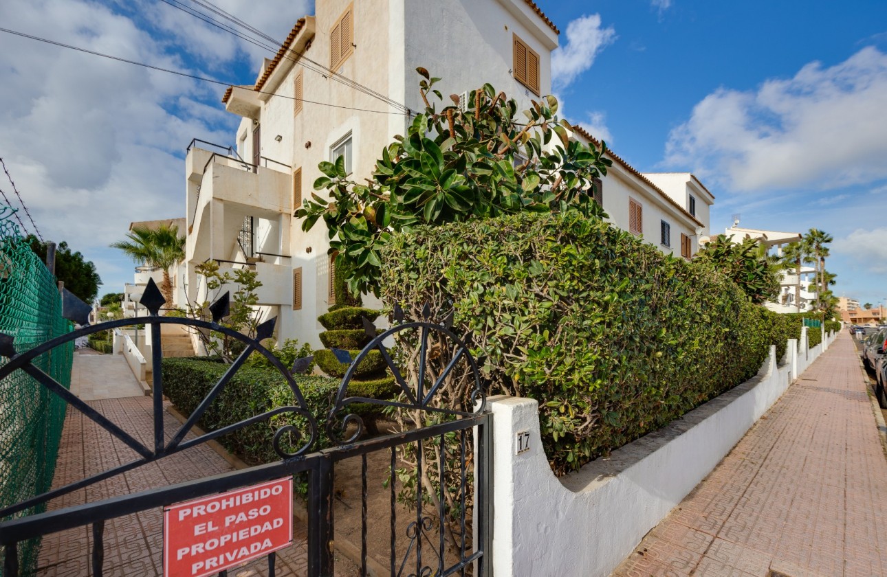 Reventa - Apartamento - Torrevieja - Playa De Los Locos