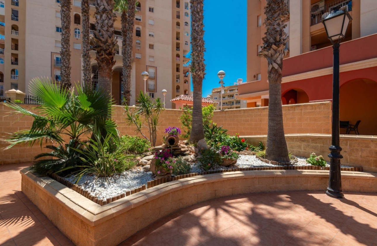 Reventa - Apartamento - Torrevieja - Playa de los Locos