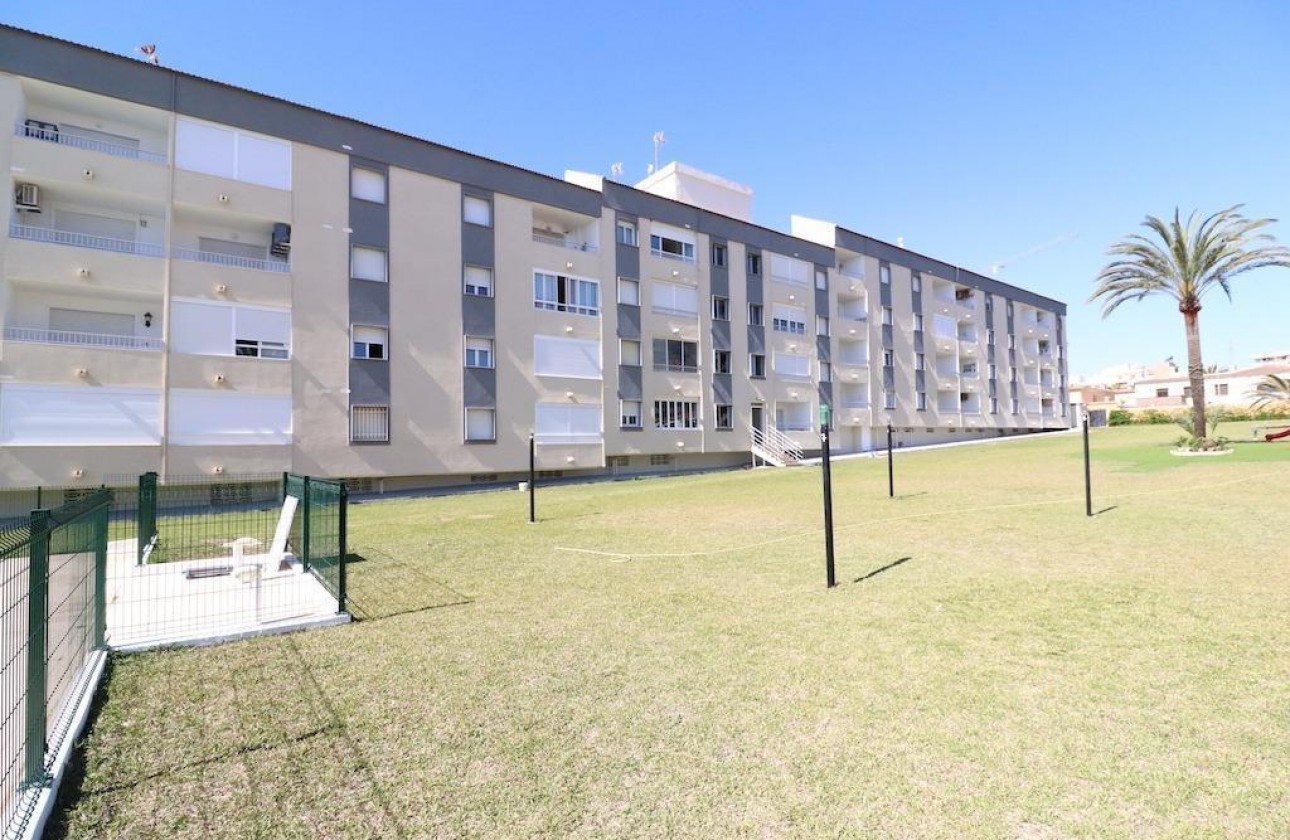 Reventa - Apartamento - Torrevieja - Punta Prima