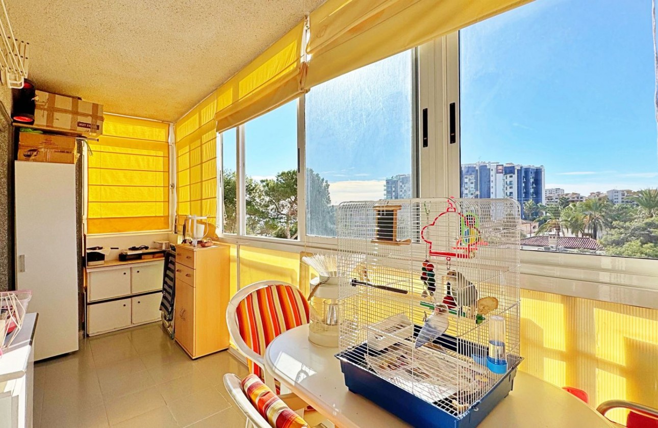 Reventa - Apartamento - Torrevieja - Punta Prima