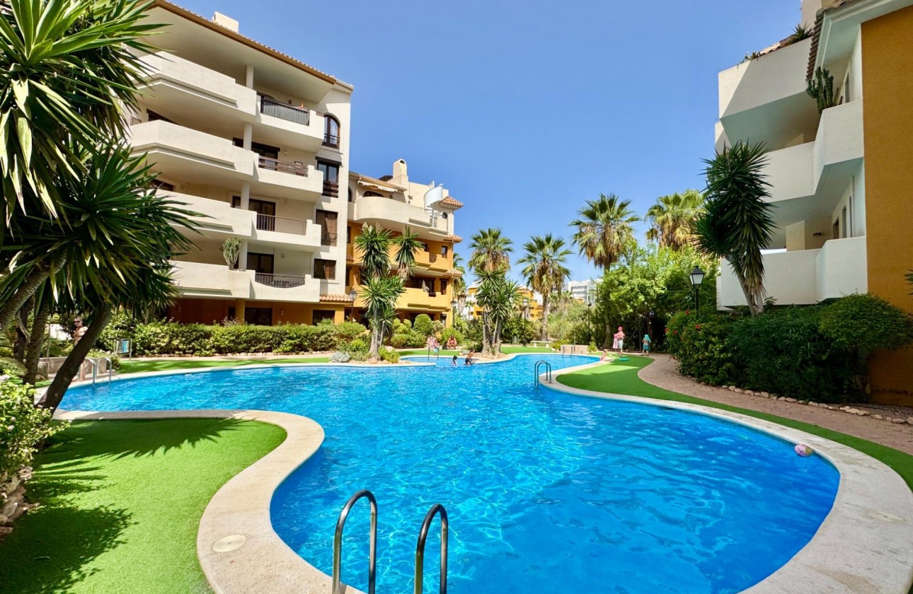 Reventa - Apartamento - Torrevieja - Punta Prima