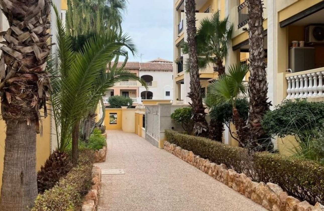 Reventa - Apartamento - Torrevieja