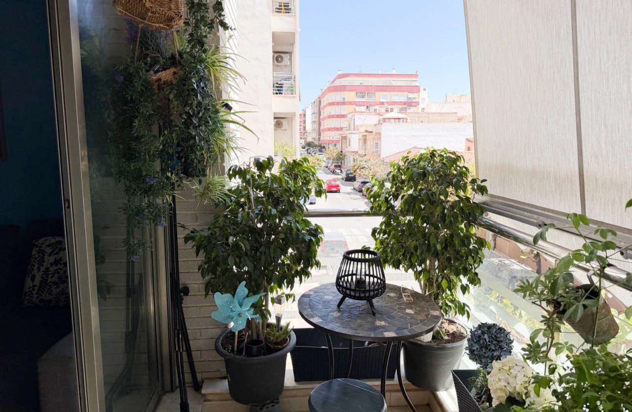 Reventa - Apartamento - Torrevieja