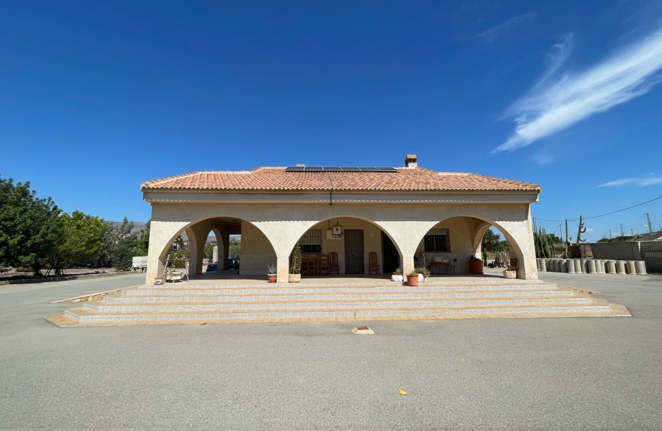 Reventa - Chalet Independiente - Crevillente