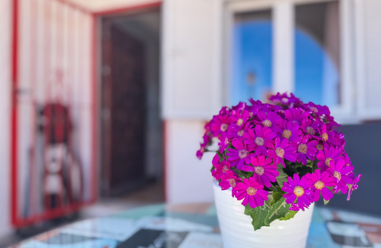 Reventa - Duplex - Torrevieja - Torrelamata - La Mata