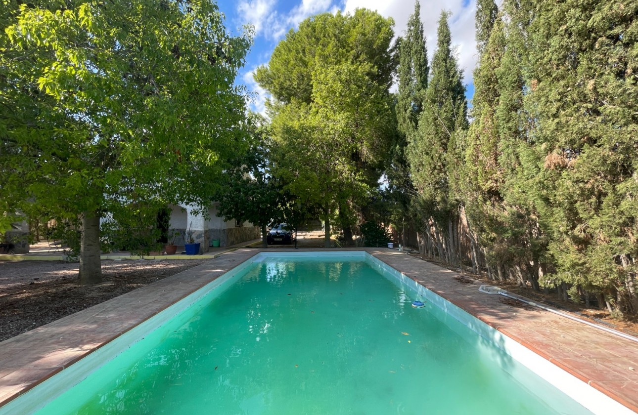 Reventa - Finca - Albatera