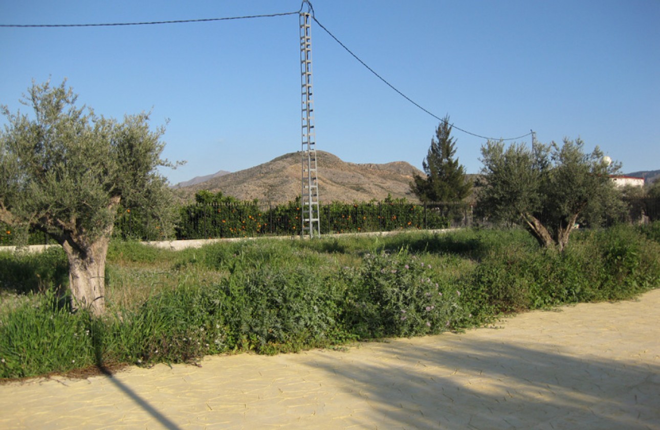 Reventa - Finca - Benferri