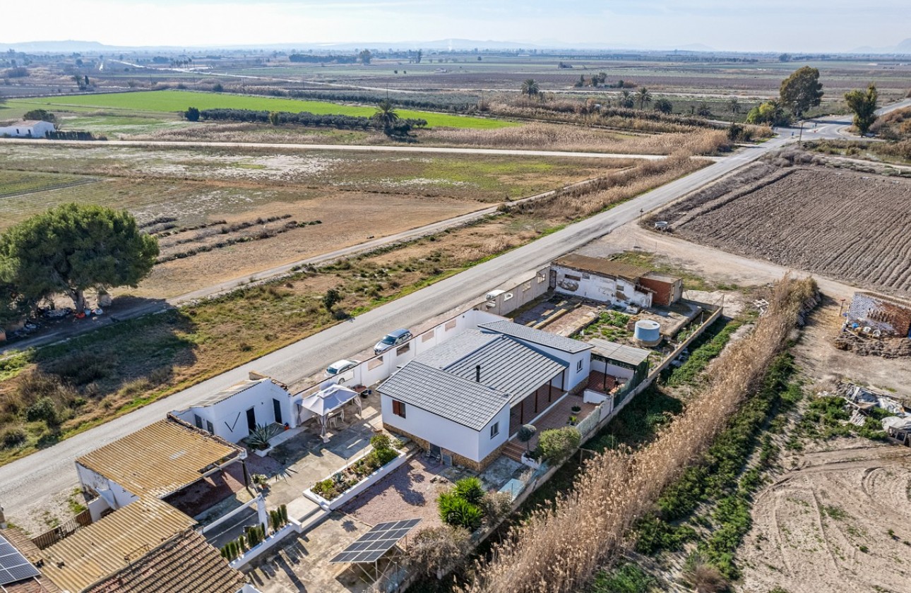 Reventa - Finca - Elche - Daimés