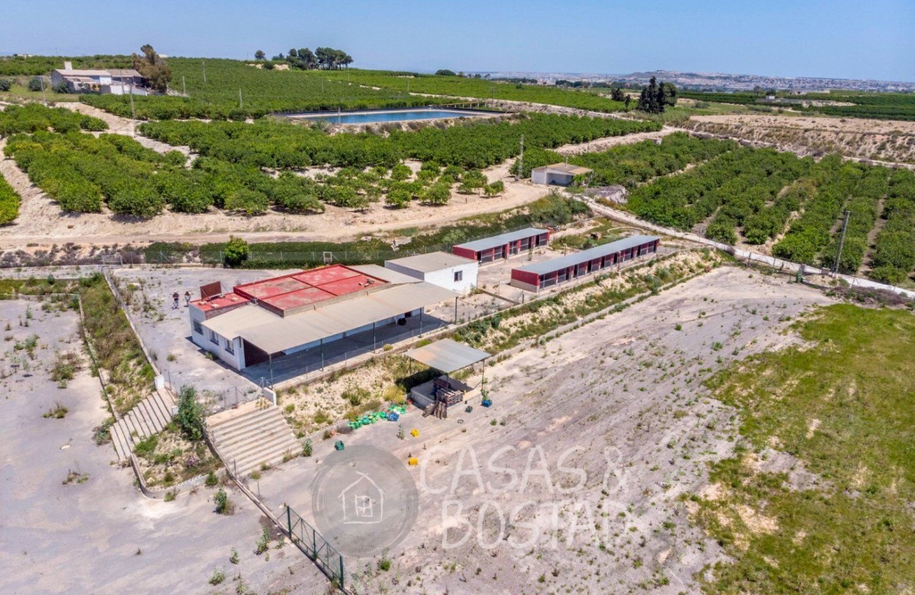 Reventa - Finca - Los Montesinos
