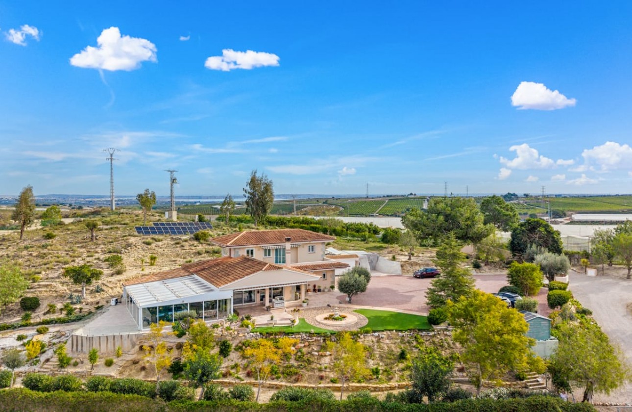 Reventa - Finca - Torremendo