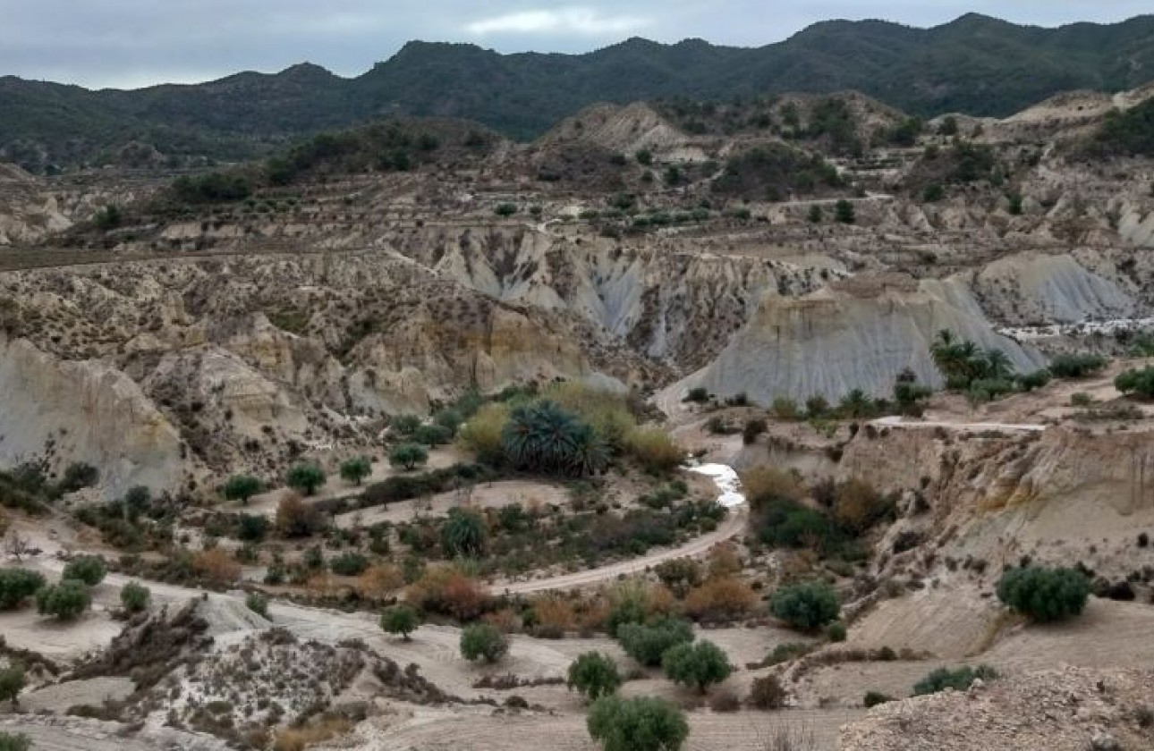 Reventa - Parcela / Terreno - Abanilla