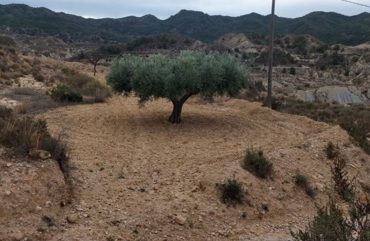 Reventa - Parcela / Terreno - Abanilla