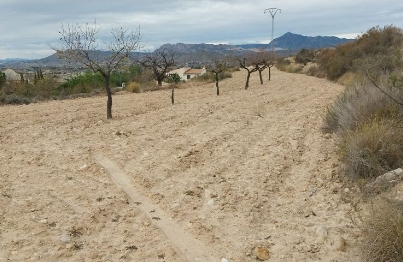 Reventa - Parcela / Terreno - Abanilla