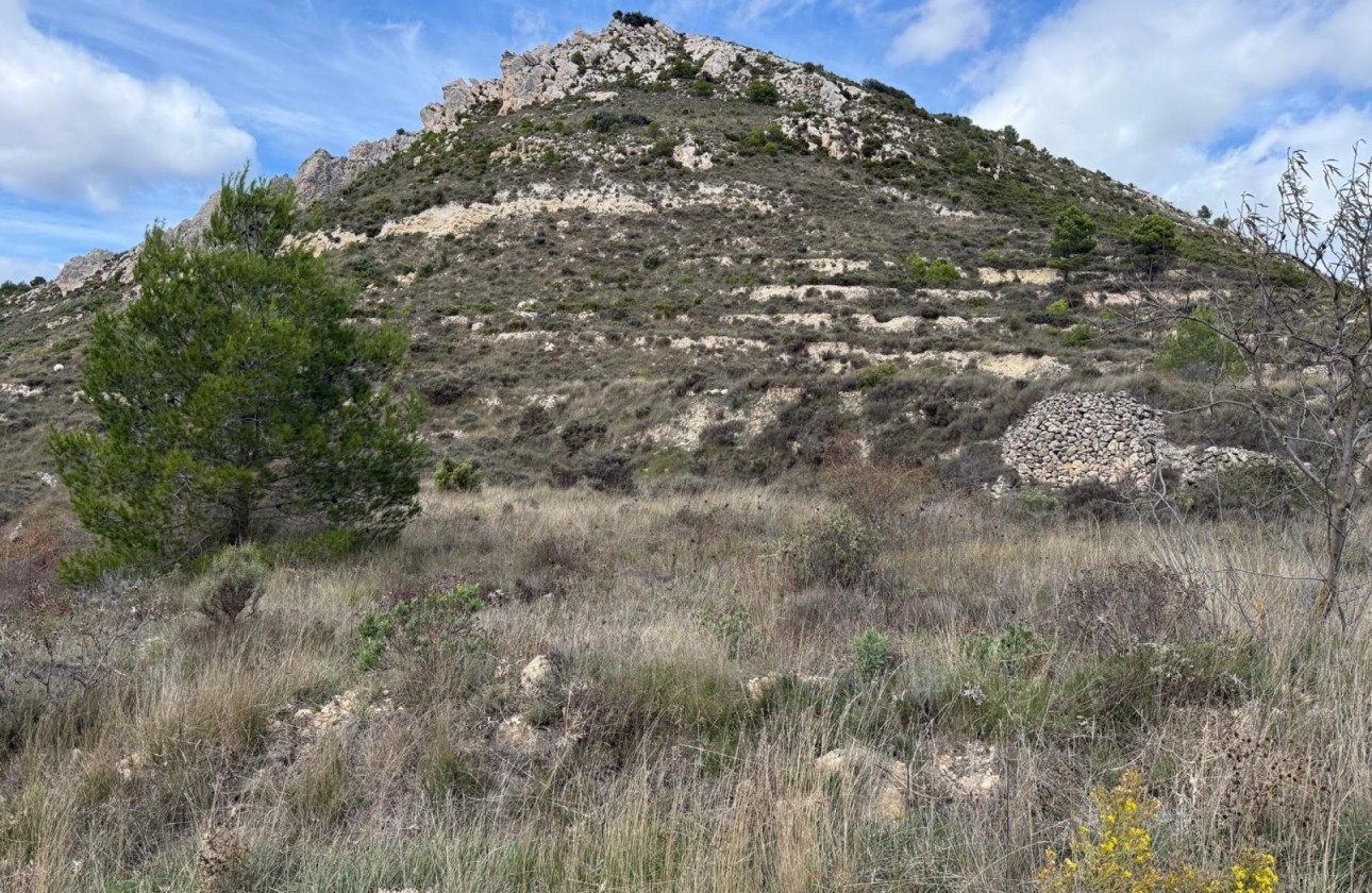 Reventa - Parcela / Terreno - Confrides - Barranc de Xarquera