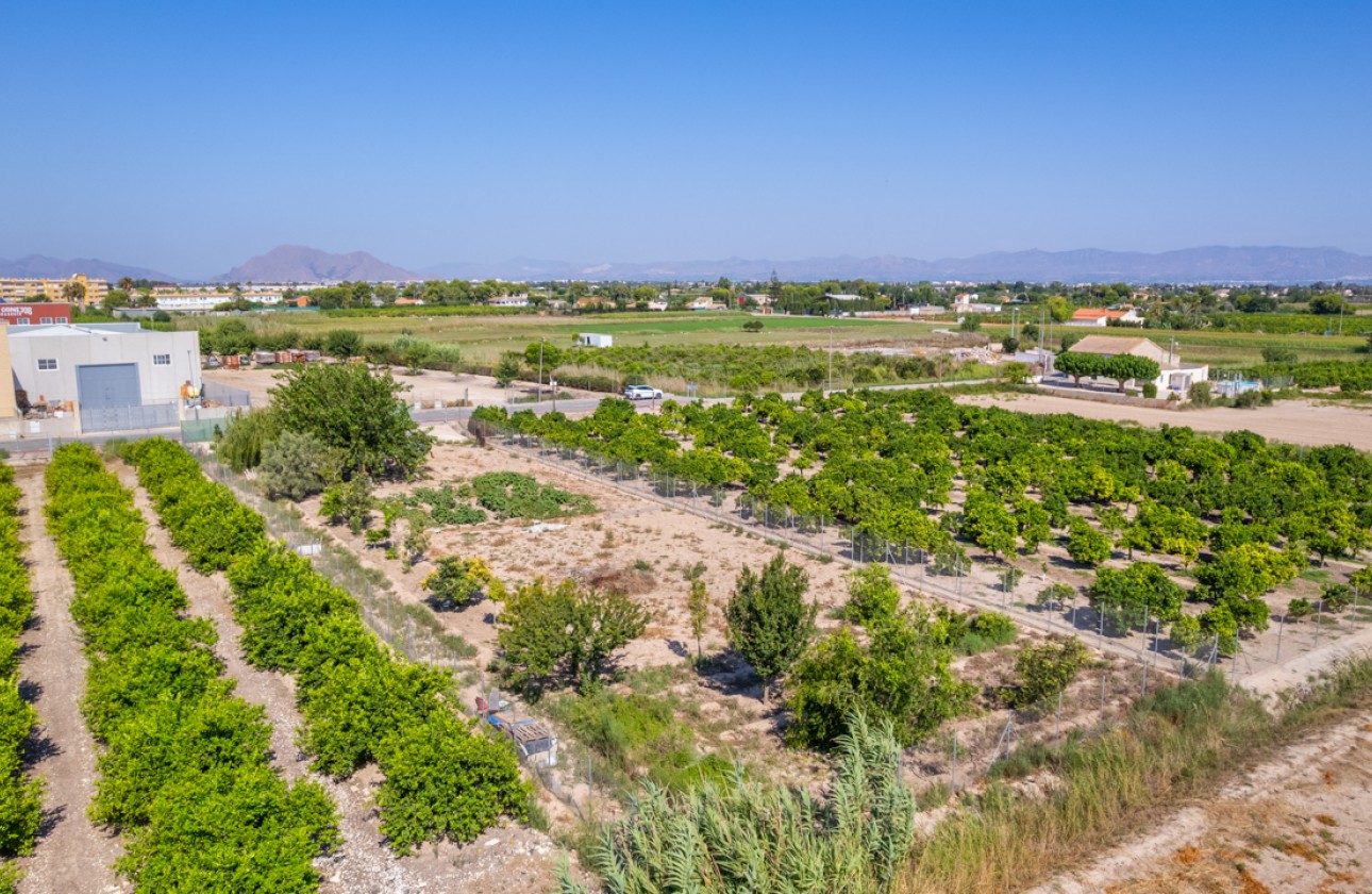 Reventa - Parcela / Terreno - Formentera del Segura