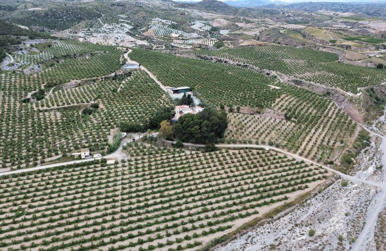 Reventa - Parcela / Terreno - Murcia - Nogalte